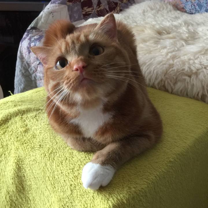 Aa569eca c866 42ac 8a69 34679a37e4f1 1527033533922