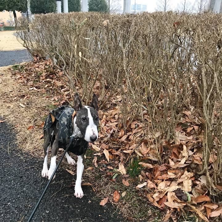 Aa56b4ce 986c 4abe 878c 722e70c6f066 1516175193680