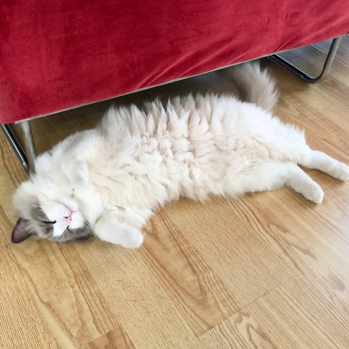 Aa575b7a 9711 4a3a 8c76 e641542c006a 1592793200196