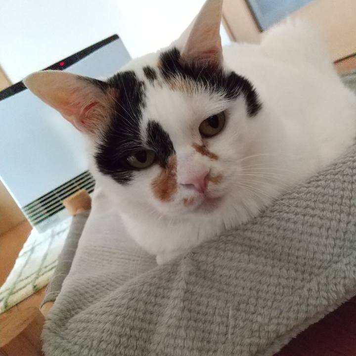 Aa578c39 5fed 4d0d a295 f42a195e4d5f 1701559643599