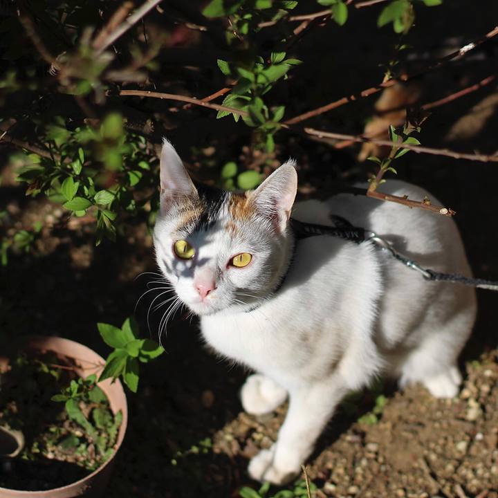 Aa57b4f0 97cb 4ae6 b7d3 1c3993fba470 1567908107561