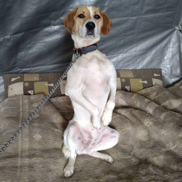 Aa57f883 708e 46d9 b522 c95e0640cd5a 1626877645545