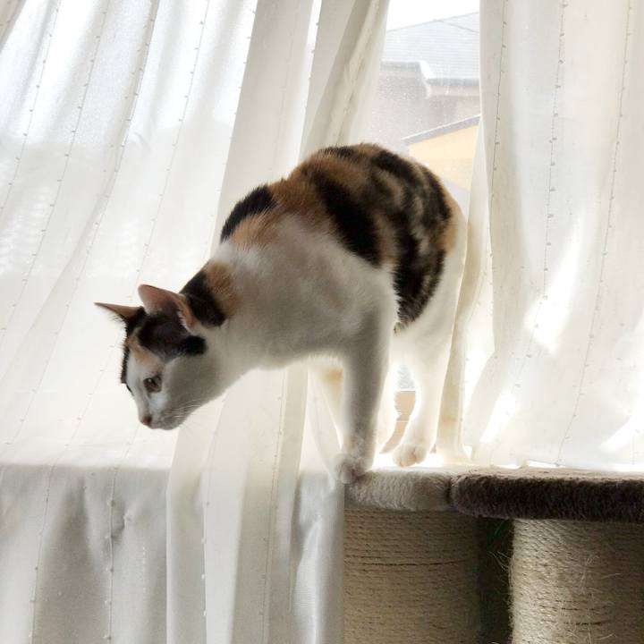 Aa580b0a 160a 4efc b014 8e1ff1a2f615 1536888396626