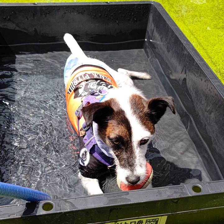 Aa581b6a e955 4a2d 9eb0 80f1da675ab4 1660630760096