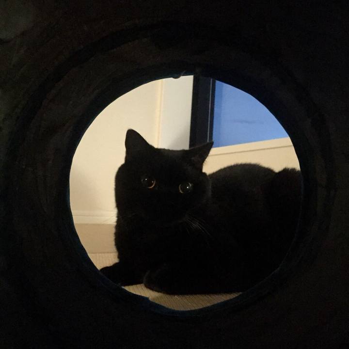 Aa586176 a9ae 4418 ae72 6233f057010d 1569747506164