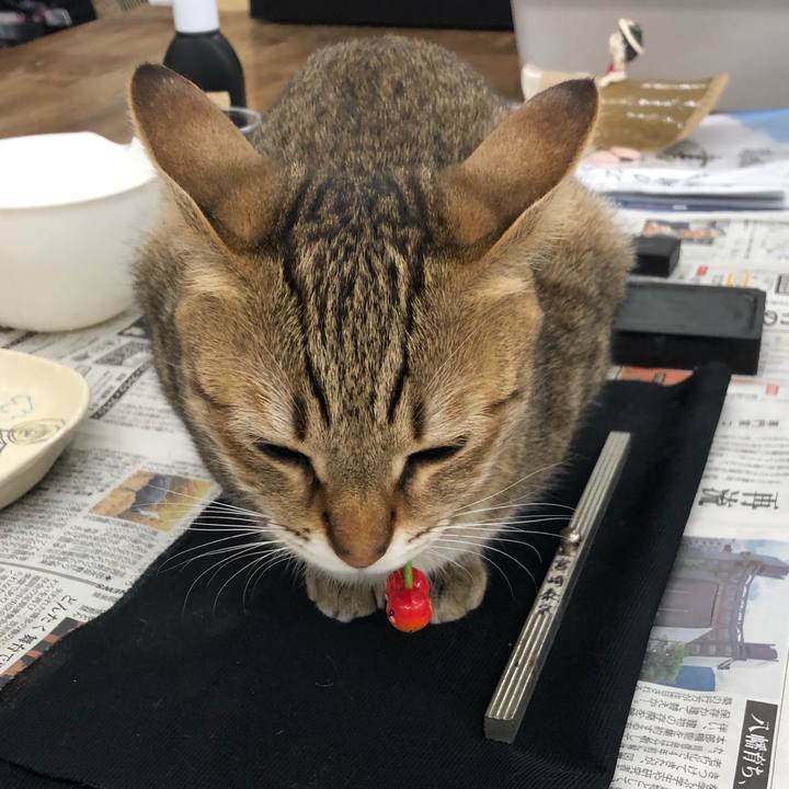 Aa58816e e672 4be9 aa0f 5ee713878685 1611298696696