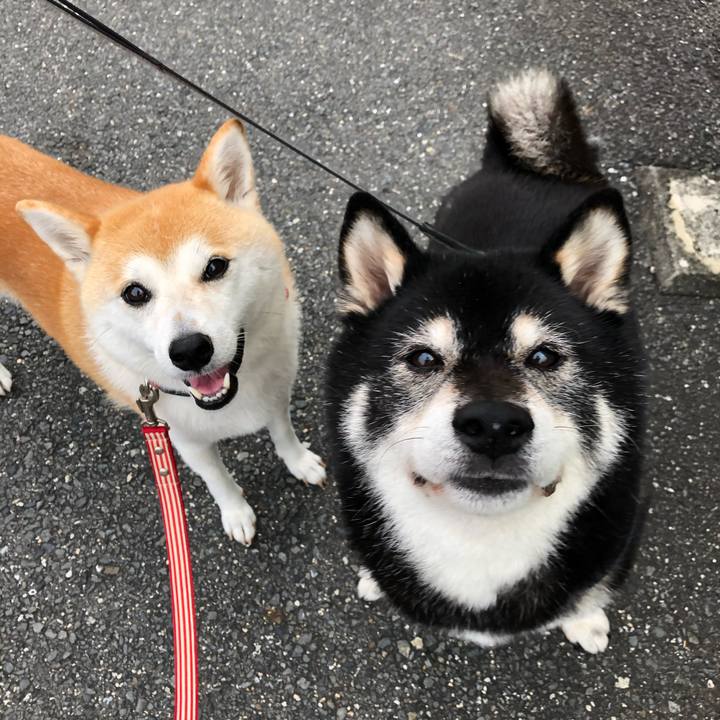 Aa58afcc 5773 4d07 8611 01866eebf350 1595197348153