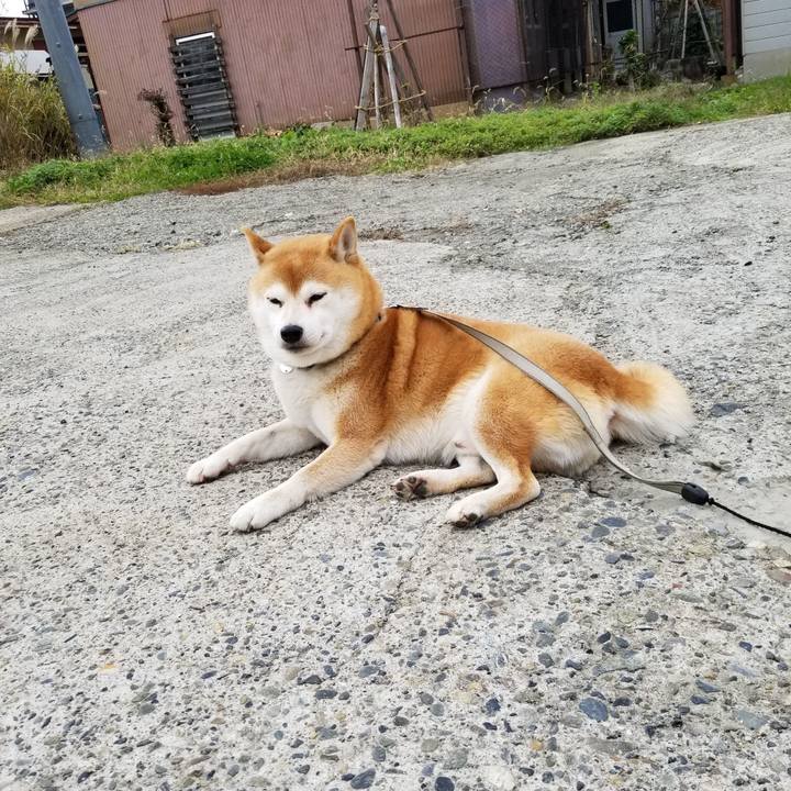 Aa58b899 90c1 42c9 960a ec1f2687e500 1574401005108