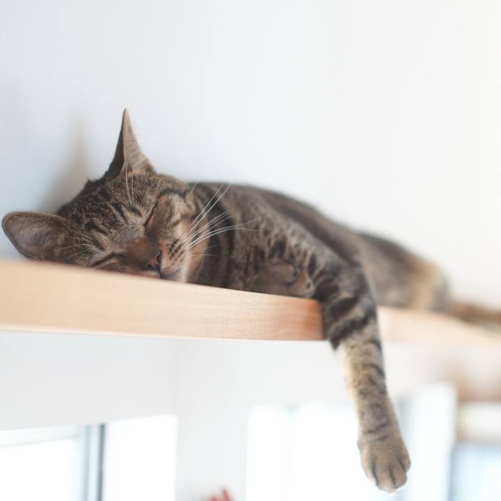 Aa58e09b 63ad 426a b85a c7599a48c4f9 1753452088648