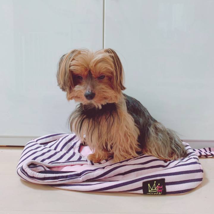 Aa58e3cc 17c5 451a 9ff6 46d168299dff 1565995341883