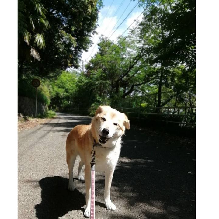 Aa5903ee 7c86 4098 95fc c9ce7d040f0b 1621736518135