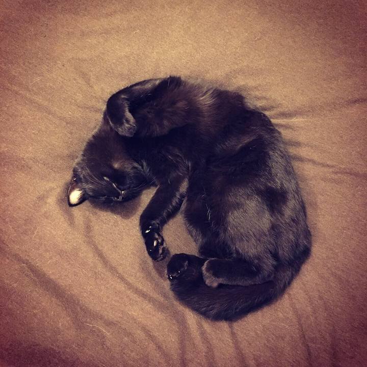 Aa5914dd 2649 4202 8841 49f95accb6af 1537934617483