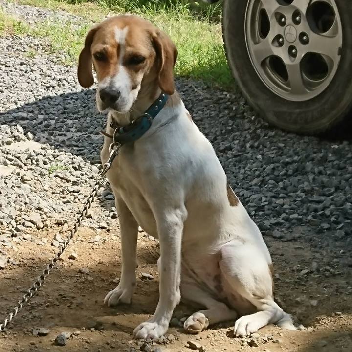 Aa59530b 84eb 4222 804d ba7479d8a56f 1567488037131