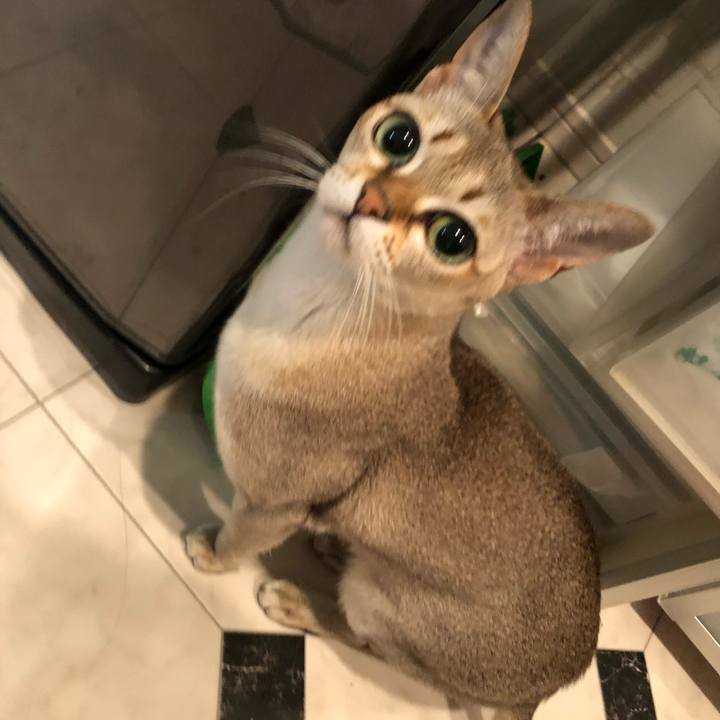 Aa597a6c 6acd 4606 896a 5e890ede19fb 1519640698930