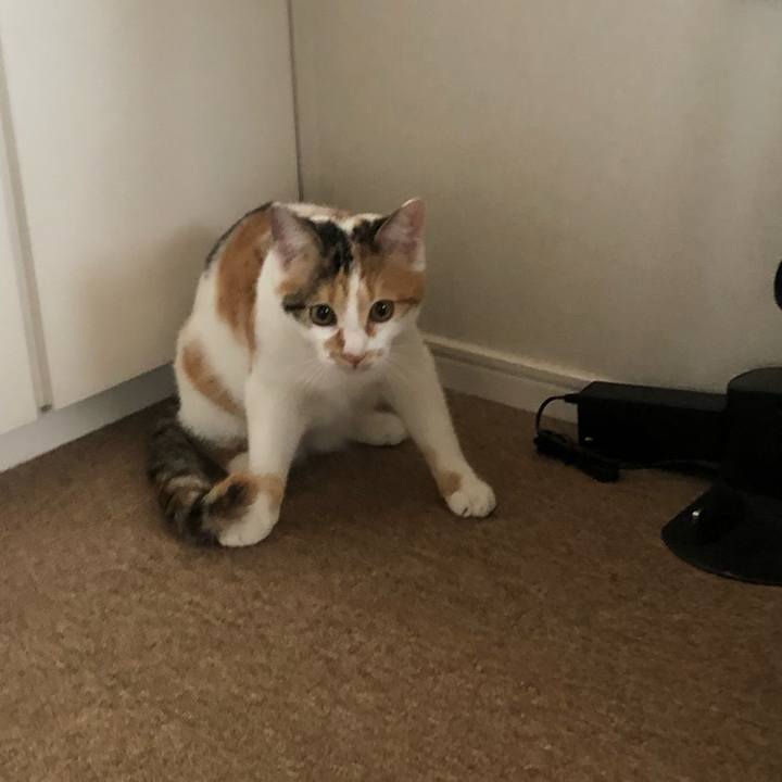 Aa598043 efff 4ab2 ae92 92b5e72b69b9 1573183356069