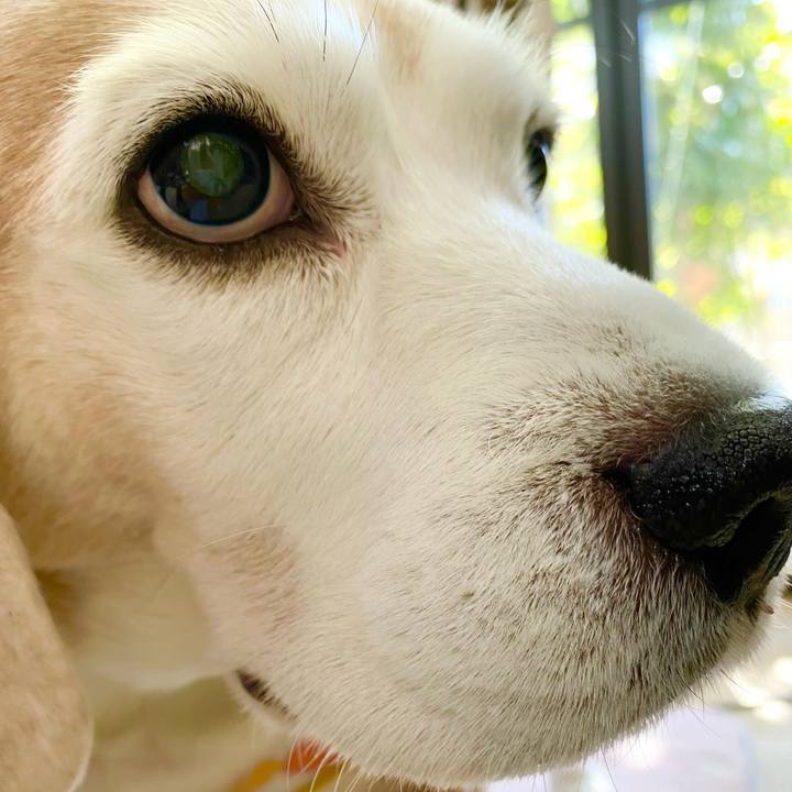 Aa59c93b 709e 4a2f 9cf4 c3835fb0fab9 1643687591224