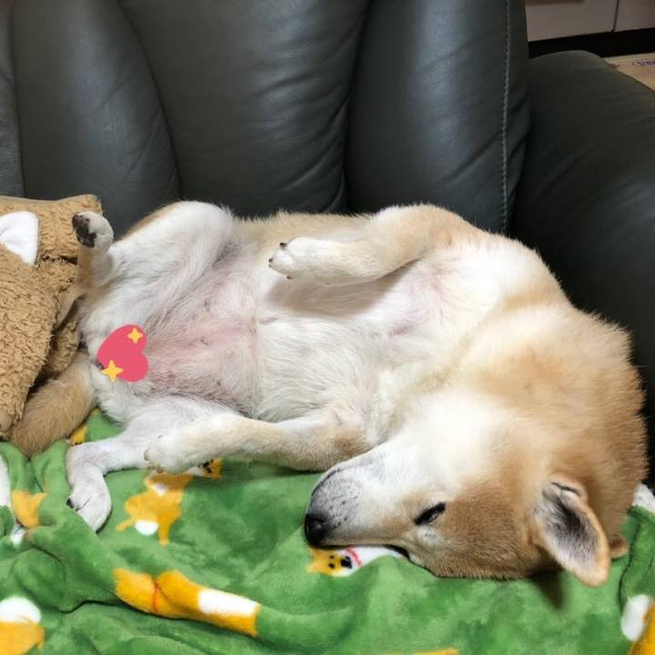 Aa5a19c8 b0d0 4667 94f3 0a7b0377c753 1579515555224