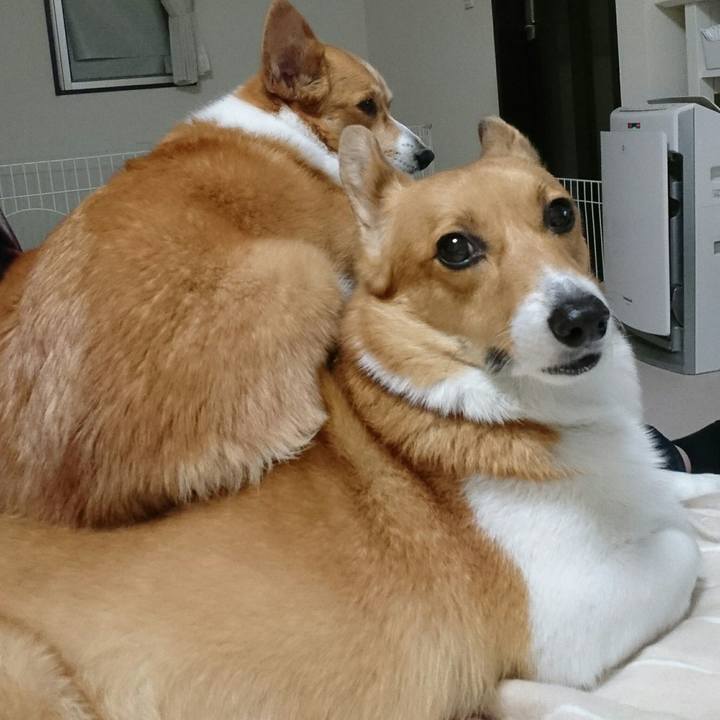 Aa5aa9bd 83f3 46d0 a7b9 6e34f3b36f94 1512116457984