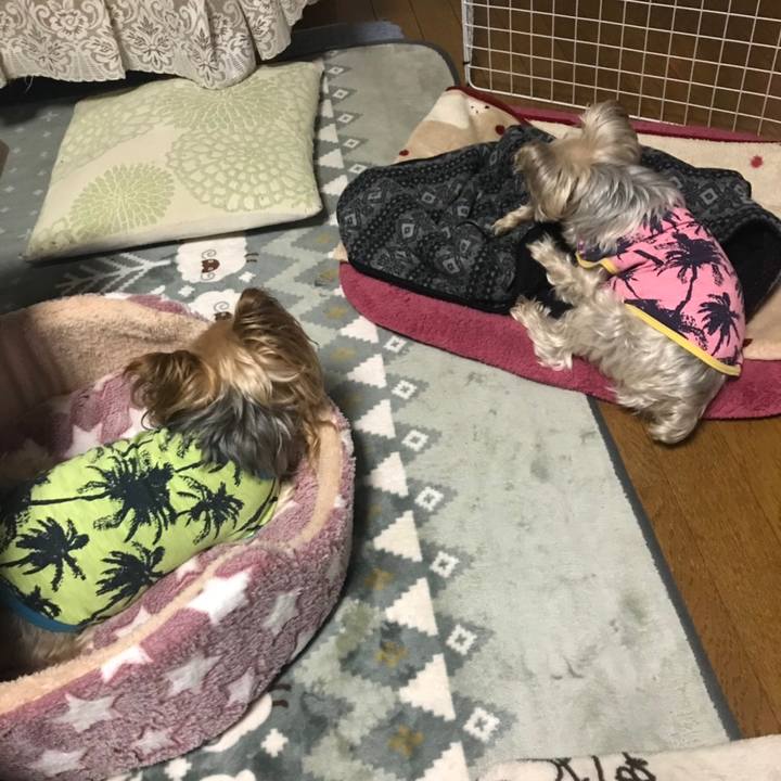 Aa5ad154 e9e4 49d6 8f14 b9d6cf7780aa 1577006380243