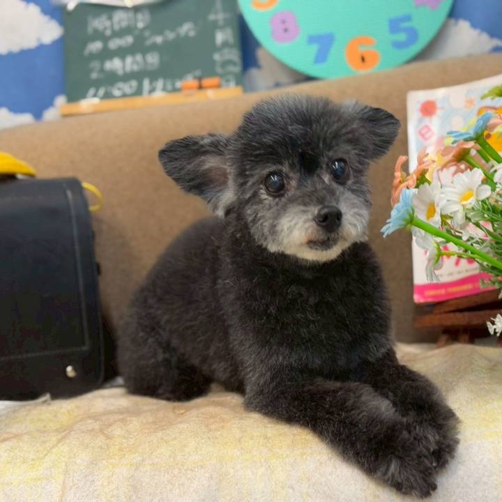 Aa5ae75f 9ff9 4698 bc8e 2c615310f820 1744628689420