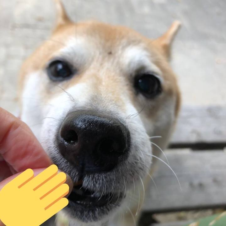 Aa5b7d99 70a8 4bde 9eaa 04d4cd3bd6b4 1573443392085