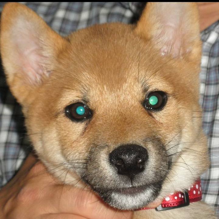 Aa5b7f92 5f35 4d4b b97f 4bef09364b44 1742773173991