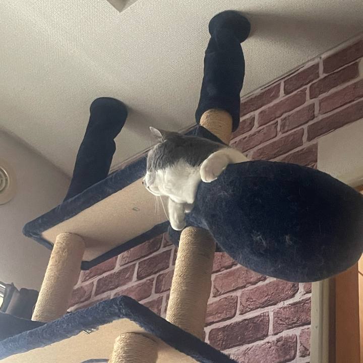 Aa5b8ab3 4b8a 4848 a510 f013cbb51fa9 1710659674946