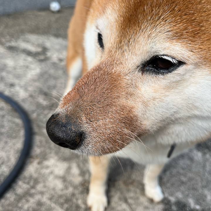 Aa5bacc1 4914 41f1 a64d c08bb029f725 1683846086574