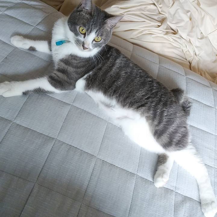 Aa5c2b98 c693 4309 b9b0 dcc78945e054 1588544685843