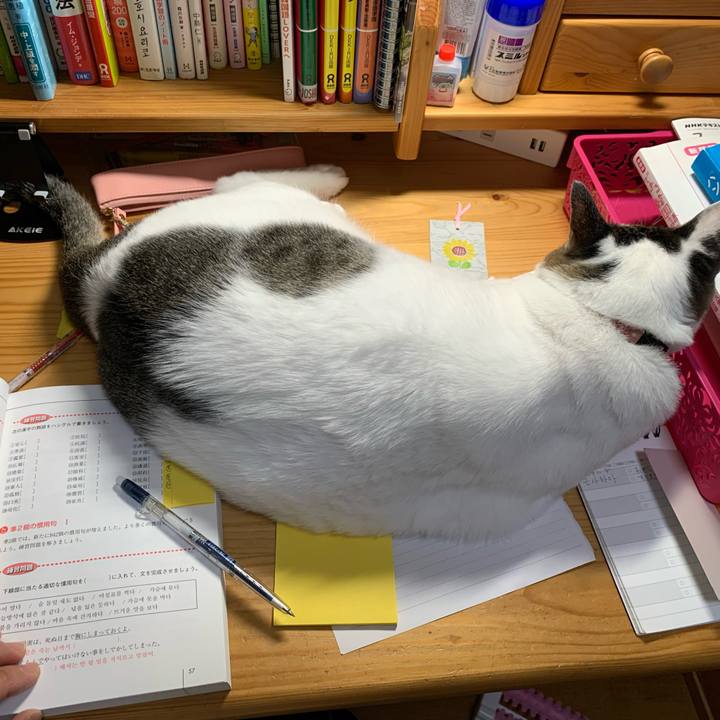 Aa5c43e9 7b09 4b78 a883 7c76e9f49ae6 1633551593599