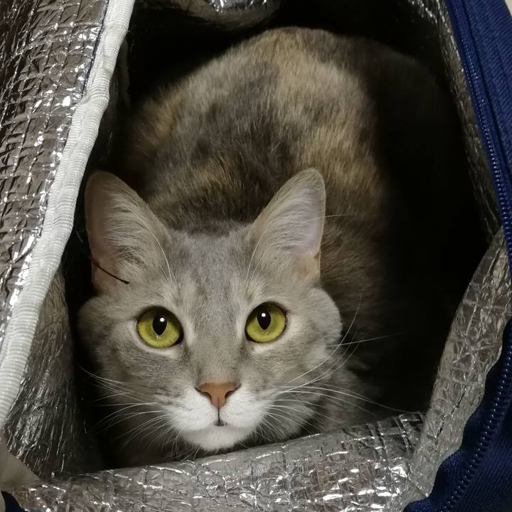 Aa5c4916 6895 4e76 b524 b6f98a876ff3 1546956247015