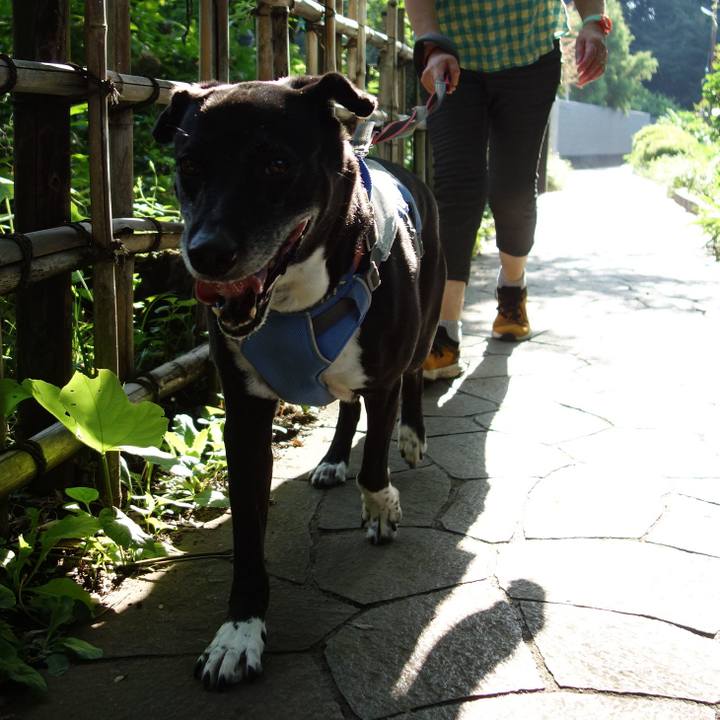 Aa5c7a7b 9153 4e21 a29c 236627195c12 1721780973539