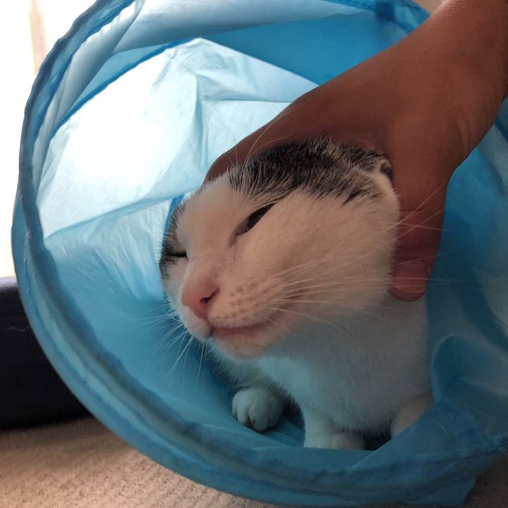 Aa5c84dc 21a9 4c88 8f4c 9530949890d4 1620687122963