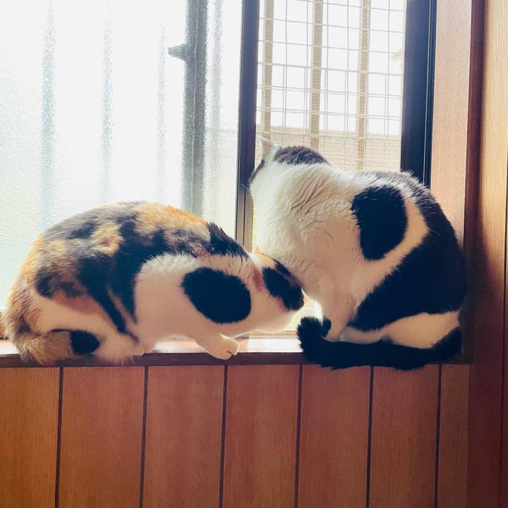 Aa5cbc97 148f 49ab 8c2d b3599c75ef1b 1648610059526