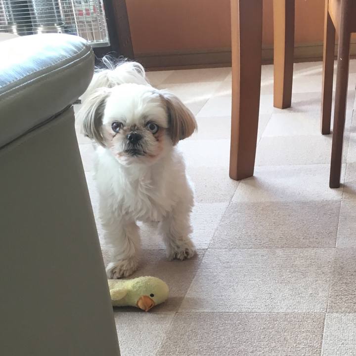 Aa5cced9 236c 4e76 8b4d e667aca1369a 1514699288434