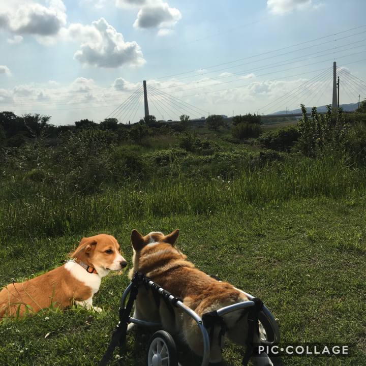 Aa5cd1a8 0894 4d77 b919 747fbaeac2ea 1592782309408