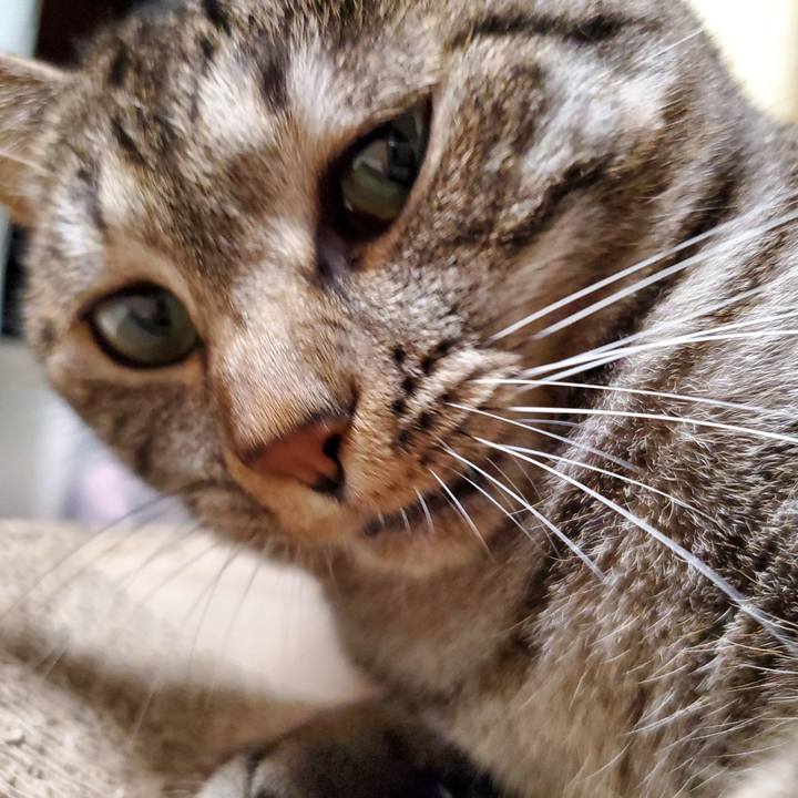 Aa5cf87c b568 4a0a 864e c19416794184 1721360035225