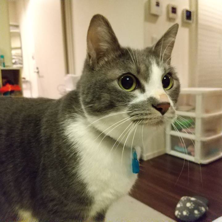 Aa5cfb9b 2b13 4724 a407 ebbb90d0973b 1611149825008