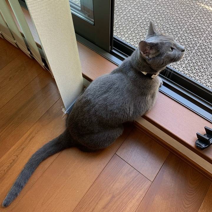 Aa5d32b0 80a0 41f3 a827 a8a88cbd53ba 1626907110179