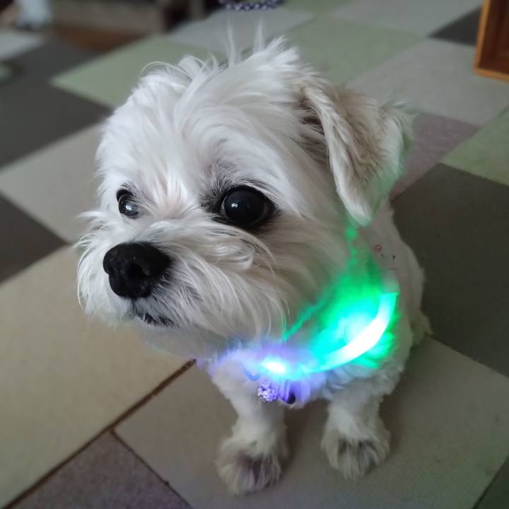 Aa5d3daa 1637 4256 9214 3e90089c8052 1721970098783