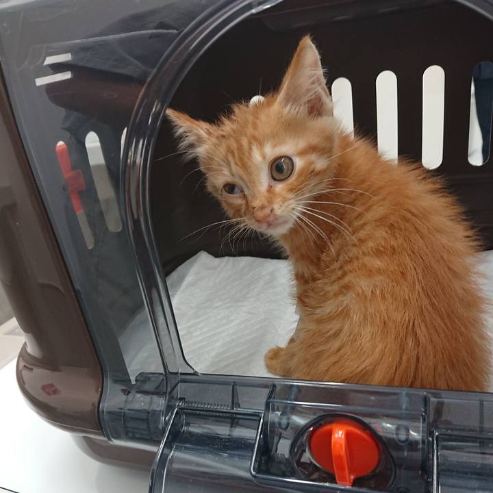 Aa5d5ee6 eea0 40ce beff 14f1c4b85ba2 1627720506456