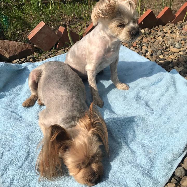 Aa5d93ac 6c84 46ea aedc 64e19a6d9a8b 1558248709746