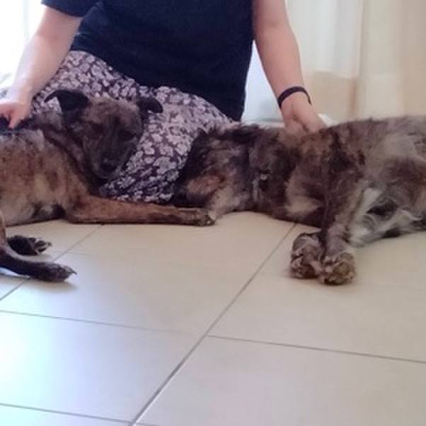 Aa5d94df 23c9 480b 986f aa6fbb312d34 1624194623090