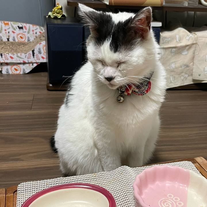 Aa5da7fa 4625 4927 8180 c0a3d0c68557 1716385876312