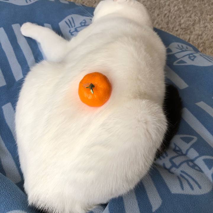 Aa5de235 5d52 4088 b70e 4f7bda7e0d45 1554117592045