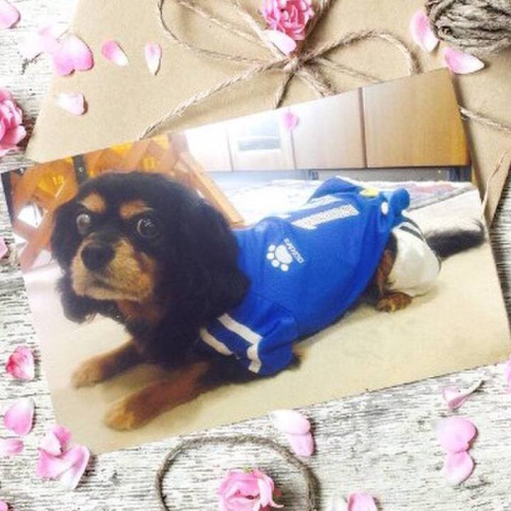 Aa5dff29 1c46 46aa 99fc 9550de2ef4c9 1527733157690