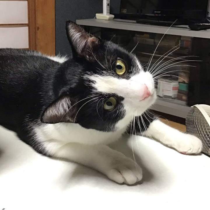 Aa5e13b3 1182 4ae1 a9e6 55e43ed43197 1659008502326