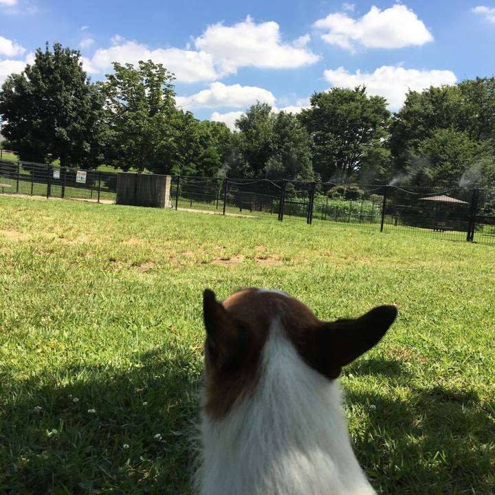 Aa5e5917 7242 4497 a8e8 26c53fba6c7d 1565487368972