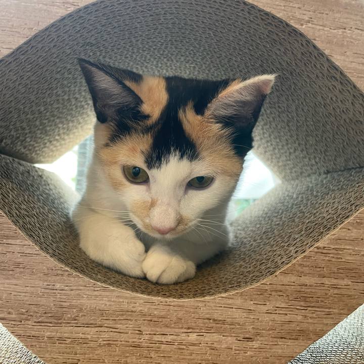 Aa5ebdab d29b 4013 afbc 063a62c4056a 1665534494790