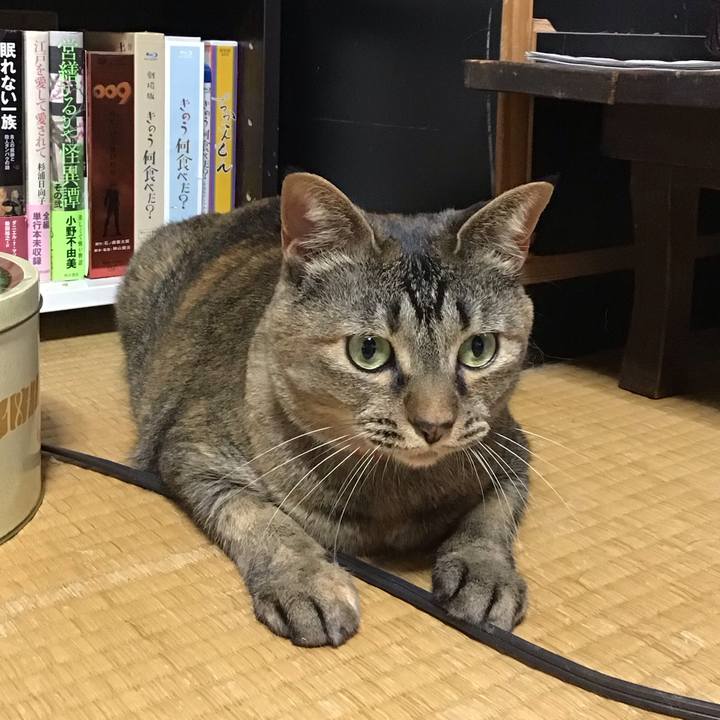 Aa5ee42a 4bb2 4074 bde5 58799a1757fc 1685358258009